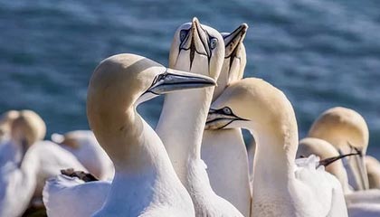 前两月互联网业务收入同比增长9％