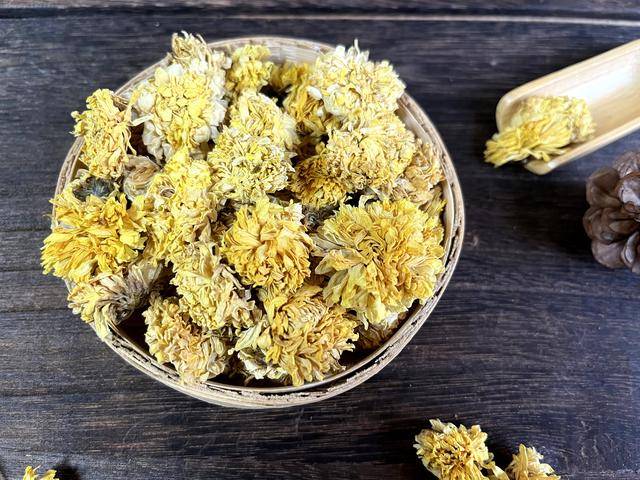 瑞龙中药大讲堂｜“菊花与野菊花”药用与观赏的双重价值