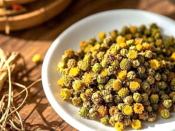 瑞龙中药大讲堂｜“菊花与野菊花”药用与观赏的双重价值