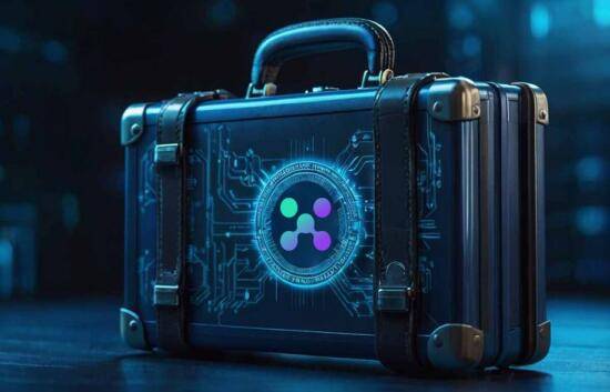 波场币永续合约交易量创新高，XBIT成为避险首选