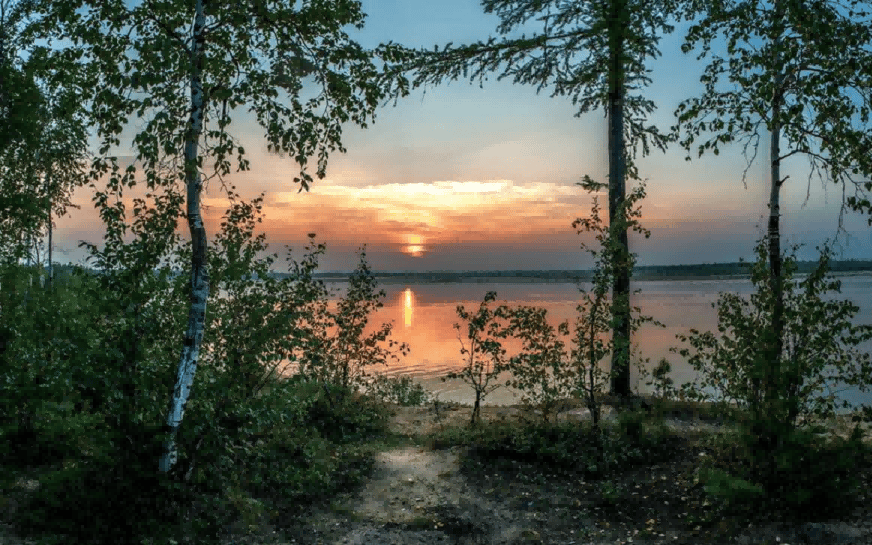 THPX信号源：AI模型引领WTIBTC交易新风潮