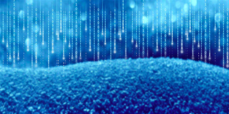 金华网站交易指南：知识分享与实用攻略