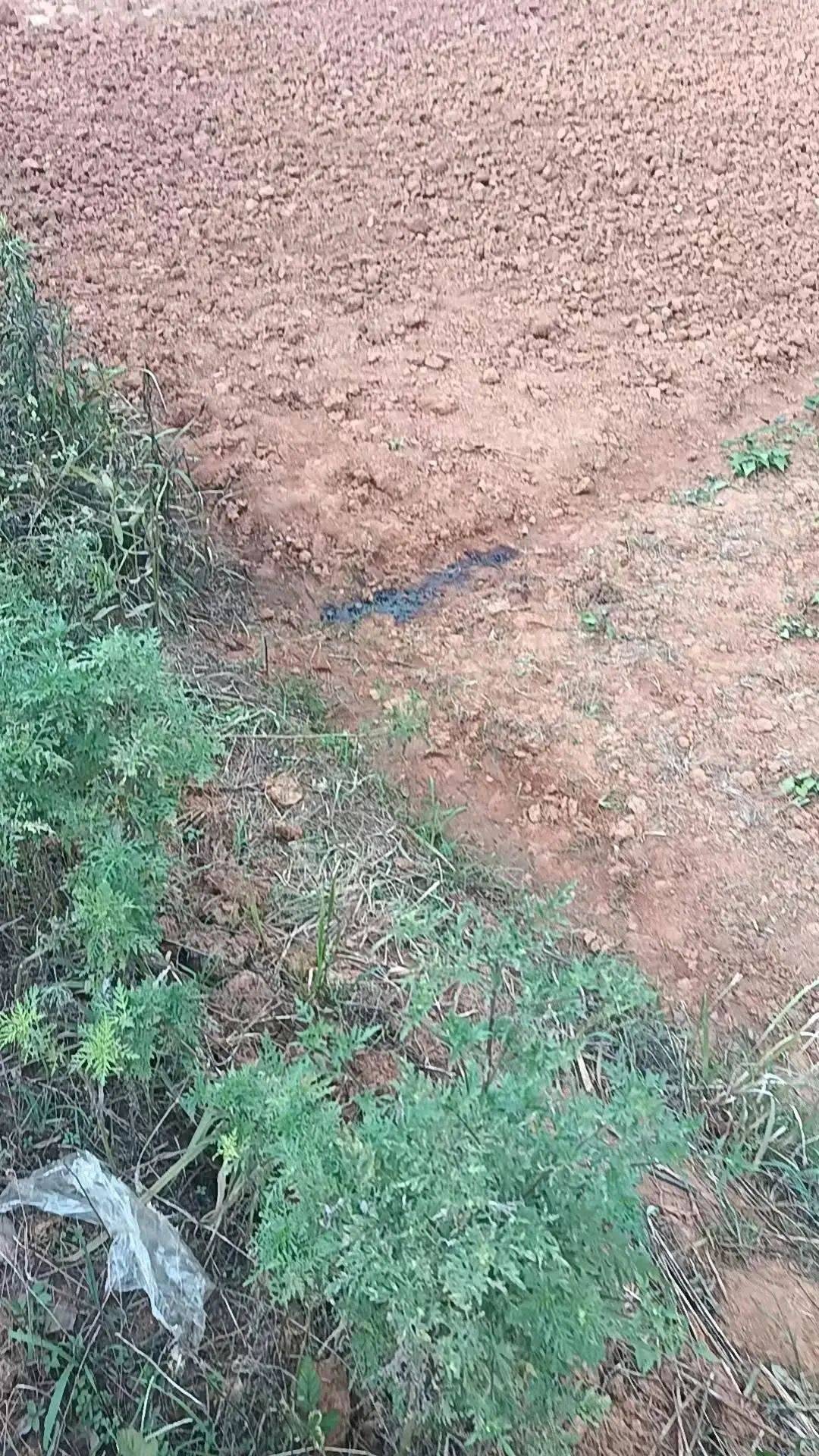 54岁农民工在工地附近如厕被气枪击杀，肇事者自首，用工单位愿补偿25万，家属发声