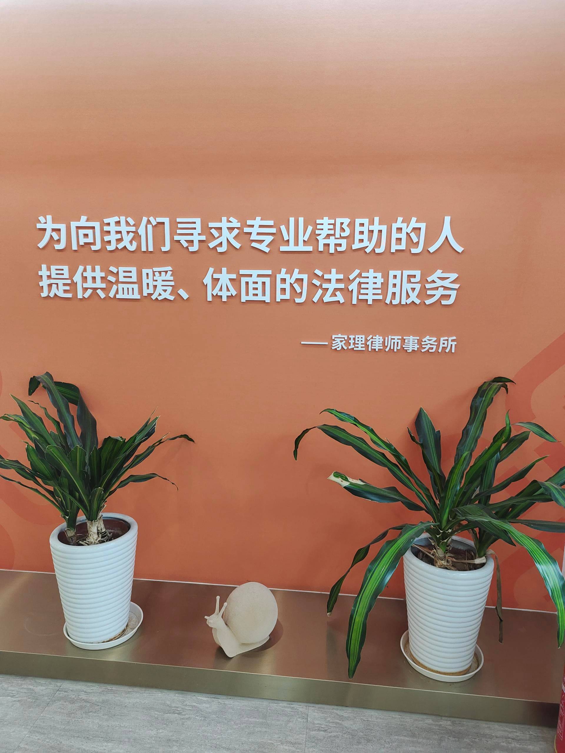 给力的婚姻纠纷律师电话在哪，选哪家事务所