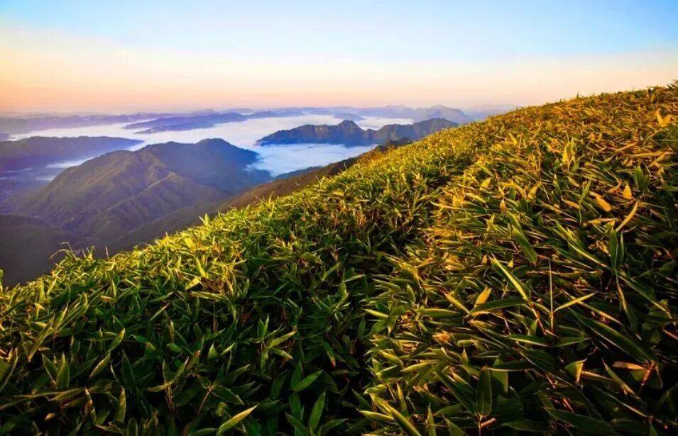 国庆中秋在哪玩？利州给你答案