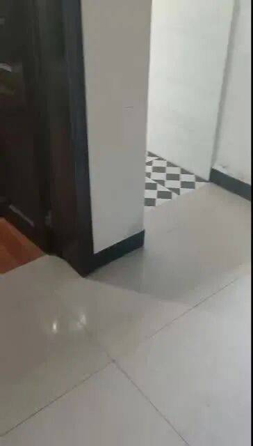 4月17日凤冈信息网房屋出租12套、店铺转让6间、房屋出售9套