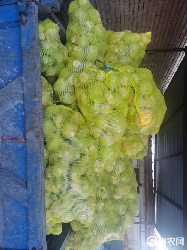 现货农产品(现货农产品交易怎么看盘)